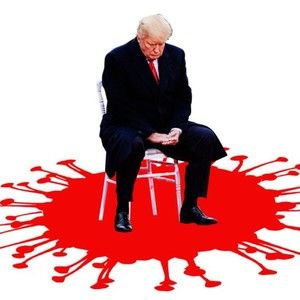 Meet your Posher, Leo